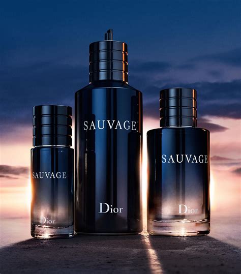 dior sauvage equivalent|dior sauvage 100ml cheapest.